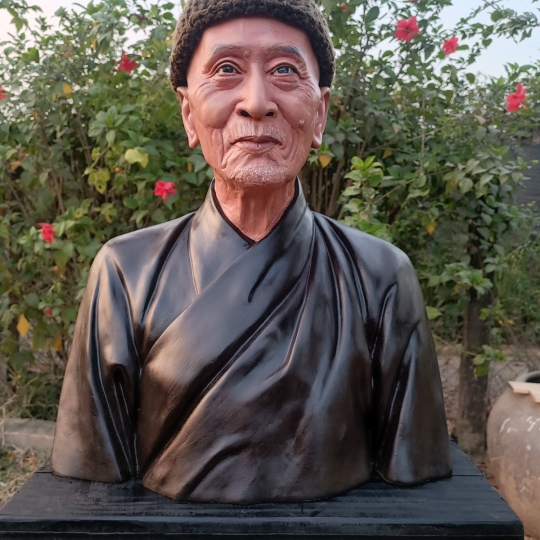 Chân Dung Hoà Thượng 