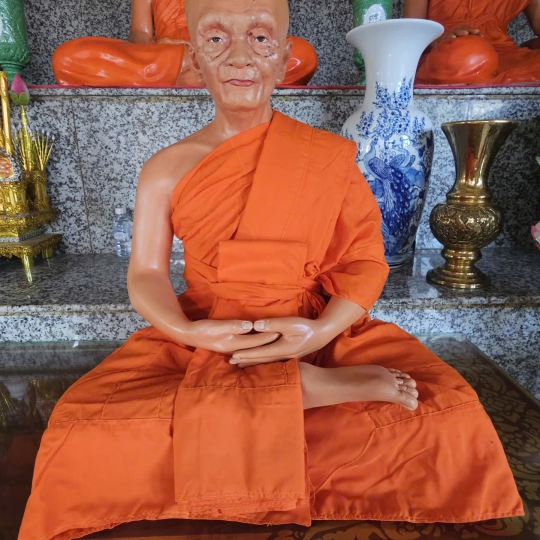 Chân Dung Hoà Thượng 