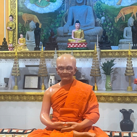 Chân Dung Hoà Thượng 