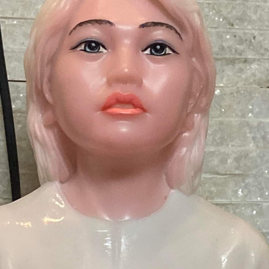 Chân dung Võ Thị Sáu 